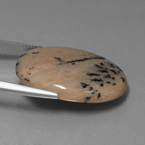 35.89캐럿 천연 다색 수지상 마노, 타원형 컷, 불투명체