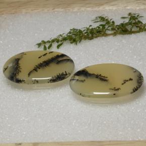 56.92캐럿 천연 멀티컬러 덴드리틱 아게이트 보석, 타원형 컷, 36.5×24.6 mm, 투명한