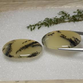 56.92캐럿 천연 멀티컬러 덴드리틱 아게이트 보석, 타원형 컷, 36.5×24.6 mm, 투명한