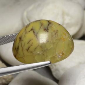 35.24캐럿 천연 멀티컬러 덴드리틱 아게이트, 타원형 컷, 23.5×20.7 mm, 불투명체