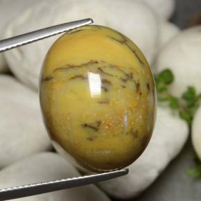 27.27캐럿 천연 다색 수지상 마노, 타원형 컷, 불투명체