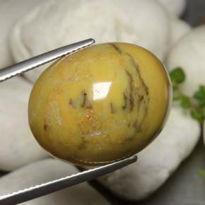 27.27캐럿 천연 다색 수지상 마노, 타원형 컷, 불투명체