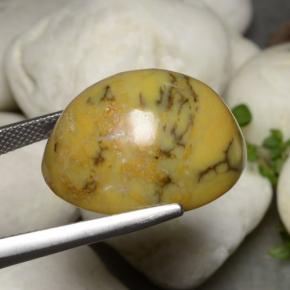 27.27캐럿 천연 다색 수지상 마노, 타원형 컷, 불투명체