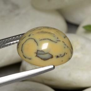 6.05캐럿 천연 다색 수지상 마노, 타원형 컷, 불투명체