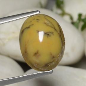 5.40캐럿 천연 멀티컬러 덴드리틱 아게이트, 타원형 컷, 13.4×10.7 mm, 불투명체