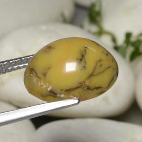 5.40캐럿 천연 멀티컬러 덴드리틱 아게이트, 타원형 컷, 13.4×10.7 mm, 불투명체