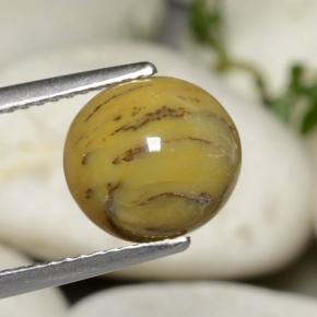 2.63캐럿 천연 멀티컬러 덴드리틱 아게이트, 타원형 컷, 9.9×9.1 mm, 불투명체