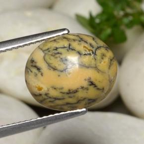 3.86캐럿 천연 멀티컬러 덴드리틱 아게이트, 타원형 컷, 12.9×10.8 mm, 불투명체