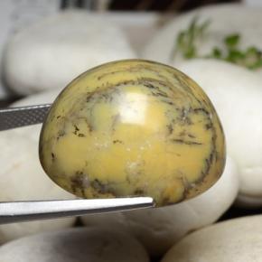 44.92캐럿 천연 다색 수지상 마노, 타원형 컷, 불투명체