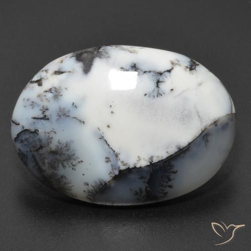 11.20ct 자연스러운 다색 수지상 마노, 타원형, 투명한