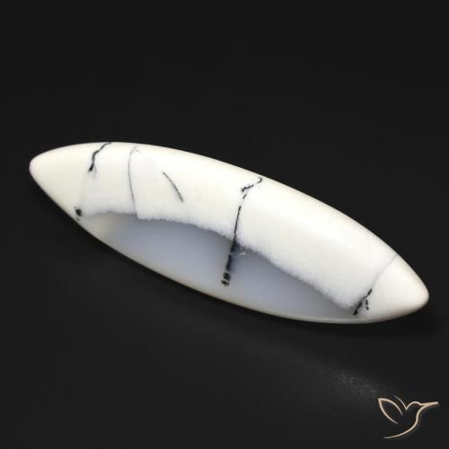 19.93ct 자연스러운 블랙과 화이트 수지상 마노, 보석, 투명한
