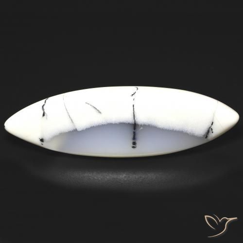 19.93캐럿 천연 블랙과 화이트 수지상 마노, 보석, 투명한