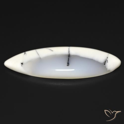 19.93캐럿 천연 블랙과 화이트 수지상 마노, 보석, 투명한
