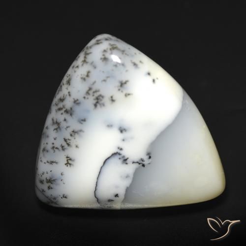 12.51ct 자연스러운 블랙과 화이트 수지상 마노, 일조, 투명한
