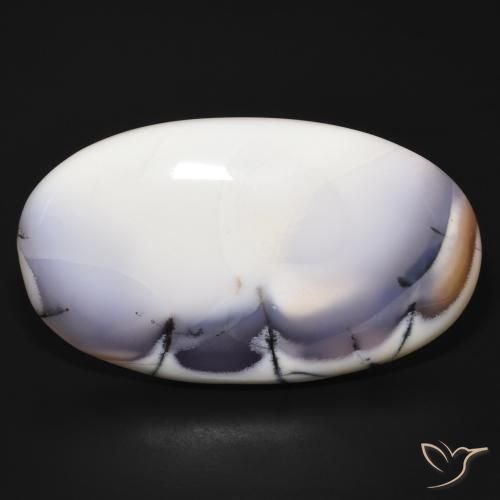 98.41ct 자연스러운 블랙과 화이트 수지상 마노, 타원형, 불투명체