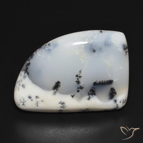 20.32ct 자연스러운 블랙과 화이트 수지상 마노, 팬시한, 불투명체