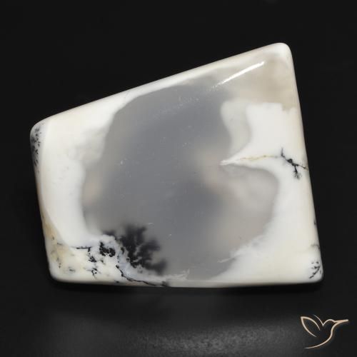 33.09ct 자연스러운 블랙과 화이트 수지상 마노, 팬시한, 투명한
