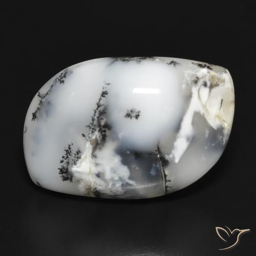 18.88ct 자연스러운 블랙과 화이트 수지상 마노, 팬시한, 불투명체