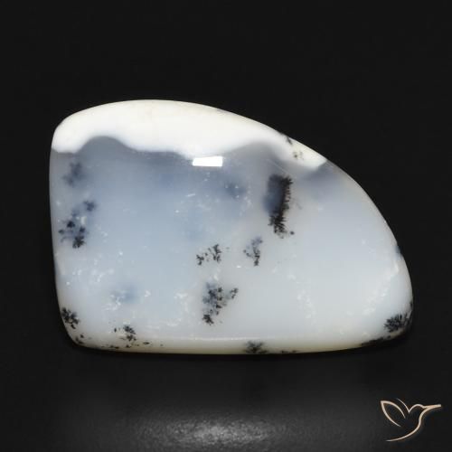 12.20ct 자연스러운 블랙과 화이트 수지상 마노, 팬시한, 불투명체