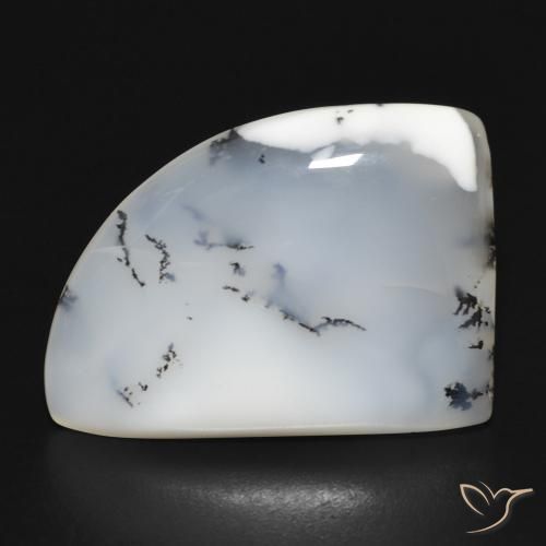 17.05ct 자연스러운 블랙과 화이트 수지상 마노, 팬시한, 불투명체