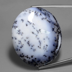 69.65캐럿 천연 다색 수지상 칼세도니, 타원형 컷, 투명한