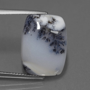 11.56캐럿 천연 멀티컬러 덴드리틱 칼세도니, 쿠션 컷, 17.9×13.2 mm, 투명한