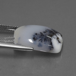 11.56캐럿 천연 멀티컬러 덴드리틱 칼세도니, 쿠션 컷, 17.9×13.2 mm, 투명한