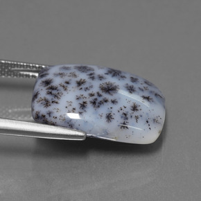 8.39캐럿 천연 다색 수지상 칼세도니, 쿠션 컷, 불투명체