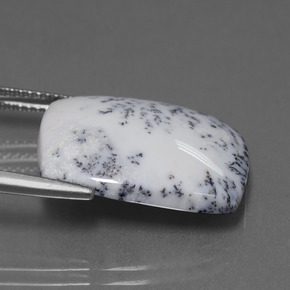 11.33캐럿 천연 다색 수지상 칼세도니, 쿠션 컷, 불투명체