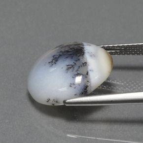 7.74캐럿 천연 멀티컬러 덴드리틱 칼세도니, 라운드 컷, 불투명체