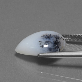 6.98캐럿 천연 다색 수지상 칼세도니, 배 모양, 투명한