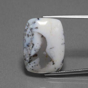 10.32캐럿 천연 다색 수지상 칼세도니, 쿠션 컷, 투명한