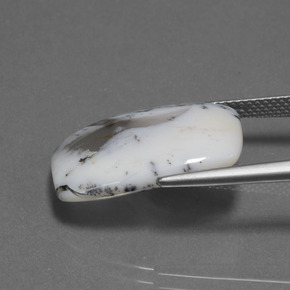 10.32캐럿 천연 다색 수지상 칼세도니, 쿠션 컷, 투명한