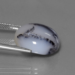 11.38캐럿 천연 멀티컬러 덴드리틱 칼세도니, 라운드 컷, 투명한