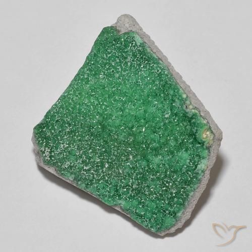 11.83ct 자연스러운 미디엄 그린 드루지 바리사이트, 팬시한, 불투명체