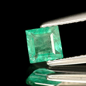 0.49캐럿 천연 그린 에메랄드, 스퀘어, 4.9×4.9 mm, SI-I1