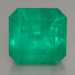 14.03캐럿 천연 그린 에메랄드, 에메랄드 컷, 14.5×14.3 mm, SI