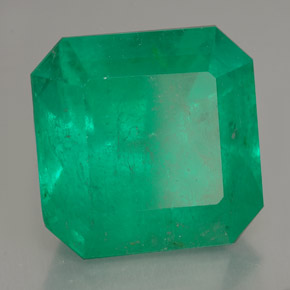 14.03캐럿 천연 그린 에메랄드, 에메랄드 컷, 14.5×14.3 mm, SI
