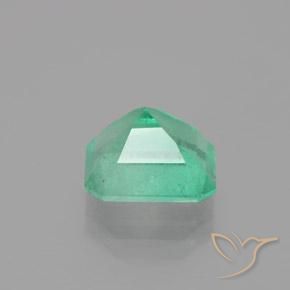 2.74캐럿 천연 연한 초록색 에메랄드, 옥타곤 / 에메랄드 컷, SI