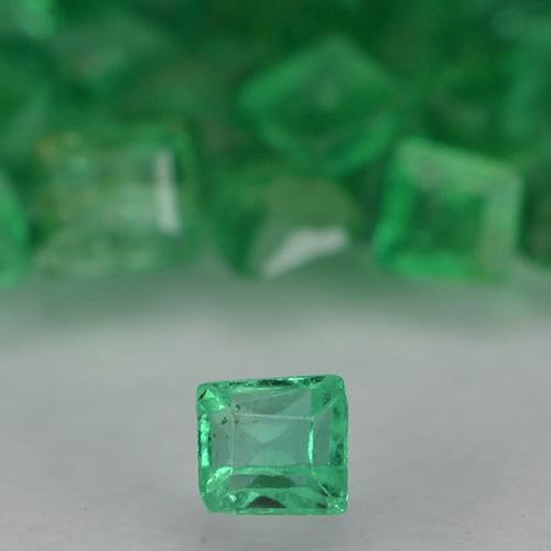 1.34캐럿 천연 따뜻한 녹색 에메랄드 보석, 스퀘어, 1.3×1.2 mm, VS-SI