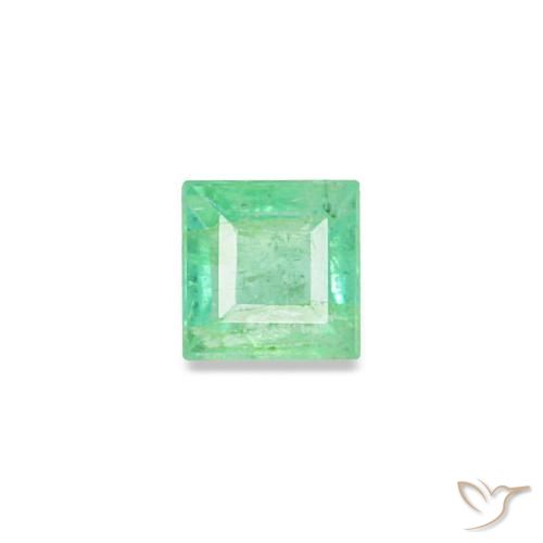 0.09캐럿 천연 피스타치오 그린 에메랄드, 스퀘어, 2.5×2.4 mm, VS-SI
