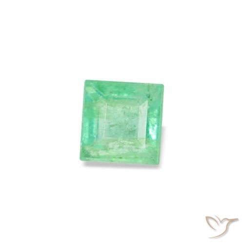0.09캐럿 천연 피스타치오 그린 에메랄드, 스퀘어, 2.5×2.4 mm, VS-SI