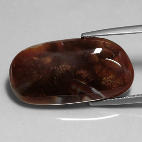 11.99캐럿 천연 멀티컬러 파이어 아게이트, 투명한, 24.7×12.8 mm, 투명/반투명