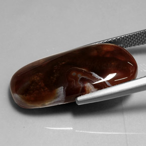 11.99캐럿 천연 멀티컬러 파이어 아게이트, 투명한, 24.7×12.8 mm, 투명/반투명