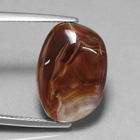 7.85캐럿 천연 멀티컬러 파이어 아게이트, 투명한, 17.8×12.6 mm, 투명/반투명