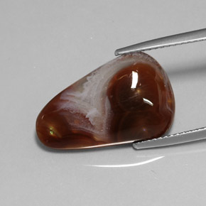 8.39캐럿 천연 멀티컬러 파이어 아게이트, 투명한, 19.9×12.5 mm, 투명/반투명