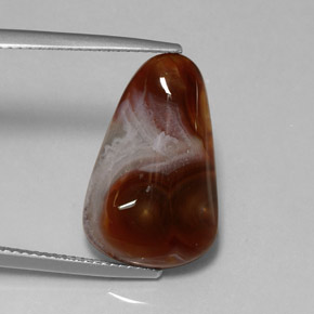 8.39캐럿 천연 멀티컬러 파이어 아게이트, 투명한, 19.9×12.5 mm, 투명/반투명
