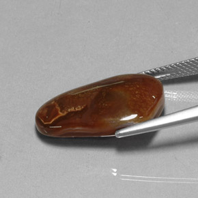 9.15캐럿 천연 멀티컬러 파이어 아게이트, 투명한, 20.4×13.5 mm, 투명/반투명