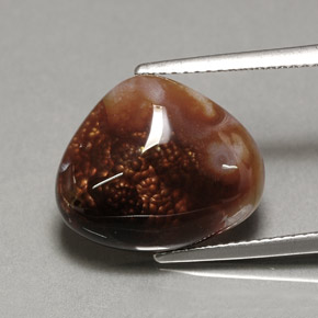 7.46캐럿 천연 멀티컬러 파이어 아게이트, 투명한, 14.3×13.6 mm, 투명/반투명