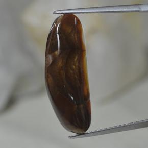 10.02캐럿 천연 멀티컬러 파이어 아게이트, 멋진 모양, 26.4×9.7 mm, 투명한